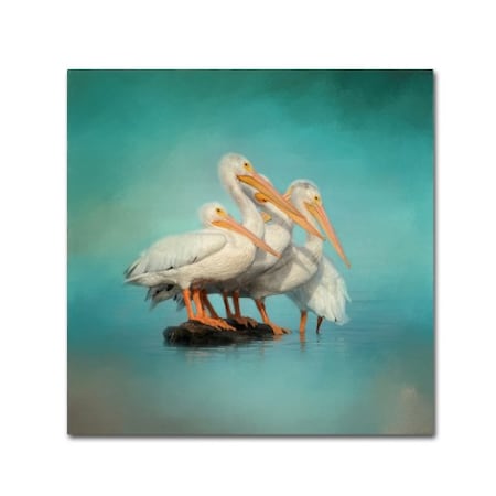 Jai Johnson 'We Are Family White Pelicans' Canvas Art,24x24